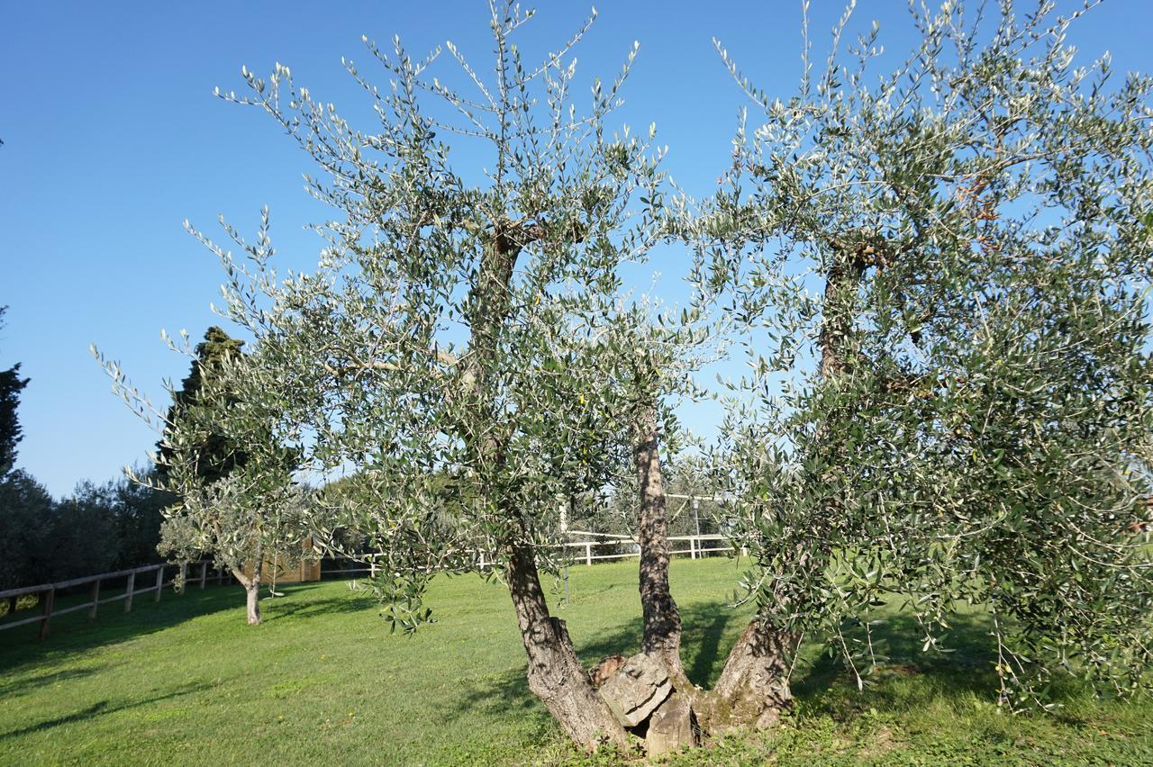 Residenza Piandaccoli Villa Lastra a Signa Bagian luar foto